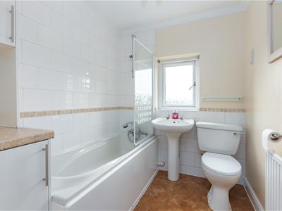 Picture 7
